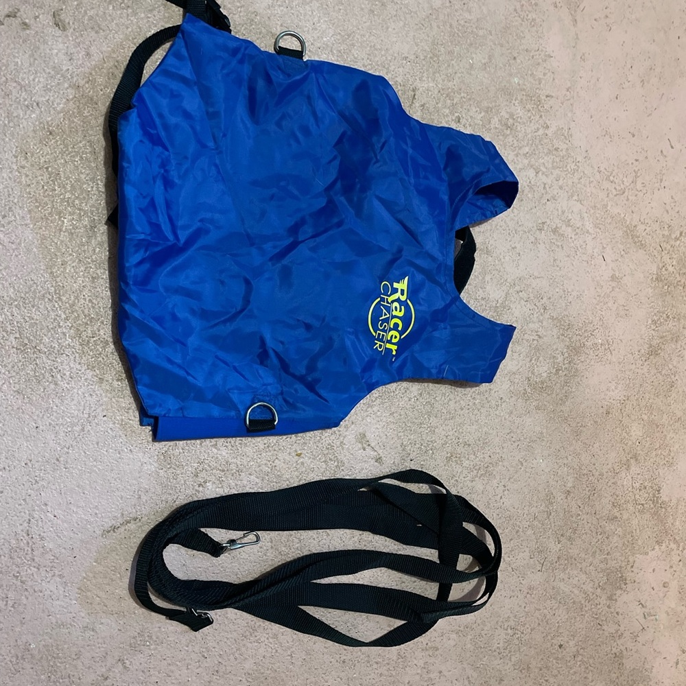 Ski harness with leads